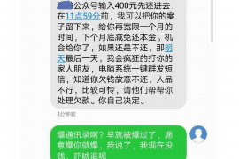 宾阳宾阳的要账公司在催收过程中的策略和技巧有哪些？